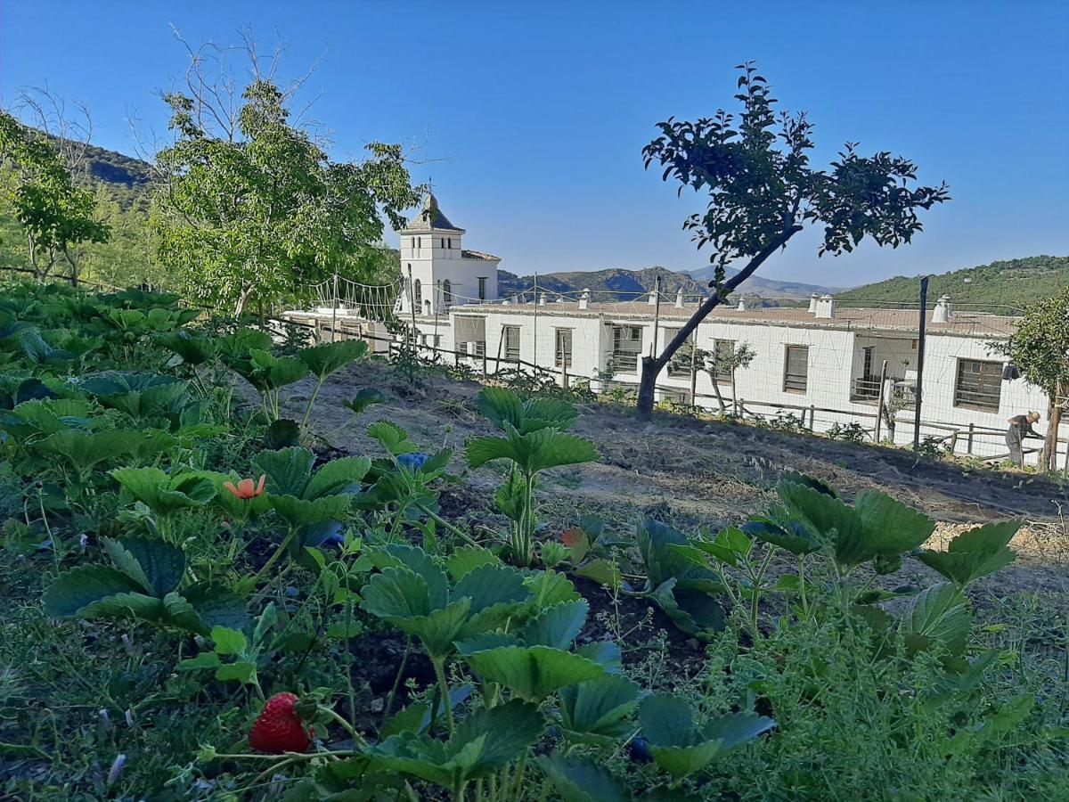 Hotel Apartamento Nueva Alcazaba Busquístar 외부 사진